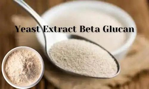 Why Yeast Extract Beta Glucan Powder Is Essential for Immune Support?